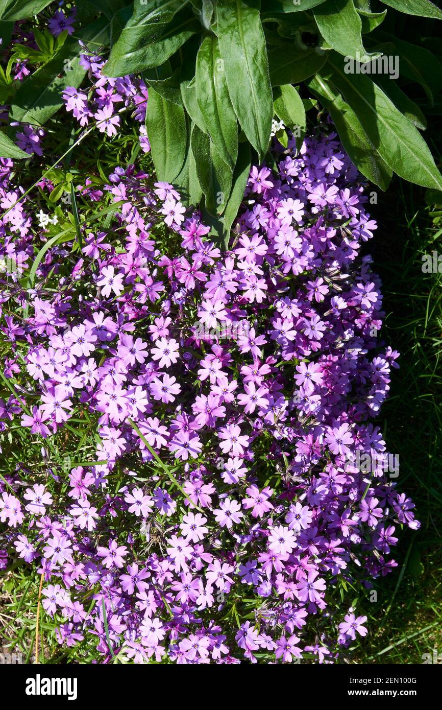 Gartenarbeit im mittleren westen Fotos und Bildmaterial in hoher