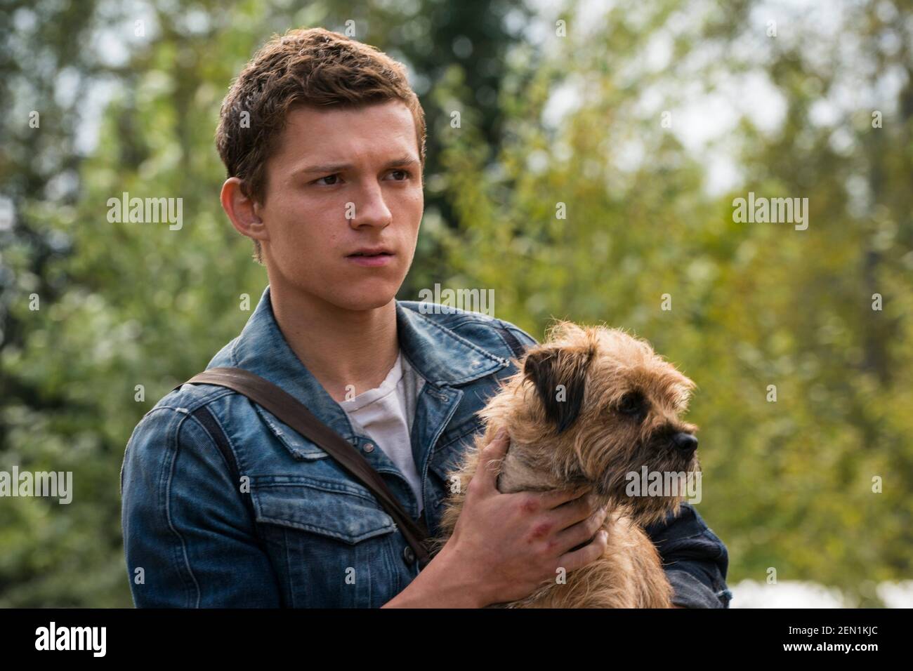 VERÖFFENTLICHUNG: 5. März 2021 TITEL: Chaos Walking STUDIO: Lionsgate REGIE: Doug Liman PLOT: Eine dystopische Welt, in der es keine Frauen gibt und alle Lebewesen die Gedanken der anderen in einem Strom von Bildern, Worten und Geräuschen hören können, die als Rauschen bezeichnet werden. HAUPTROLLE: TOM HOLLAND als Todd Hewitt. (Bild: © Lionsgate/Entertainment Pictures) Stockfoto