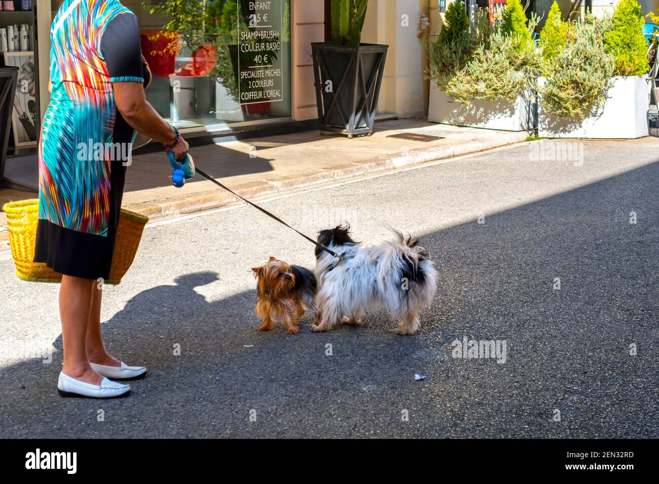 Eine Frau geht mit ihrem Hund spazieren, während ein anderer Hund sich ihnen vor einem Schönheitssalon in der Riviera-Stadt Menton, Frankreich, anschließt. Stockfoto
