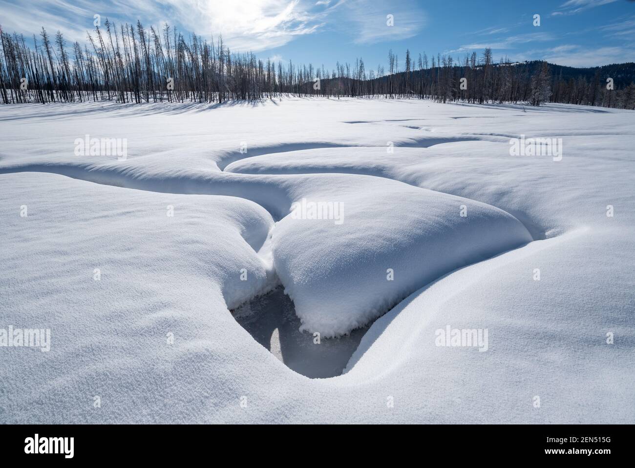 Park Creek im Winter, Sawtooth Mountains, Idaho. Stockfoto