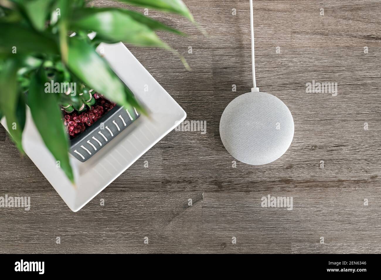 Smart Home Lautsprecher Digital Assistant, oben flach Lay-Ansicht neben glücklichen Bambus Topf Pflanze auf Scheune Holz Hintergrund Stockfoto