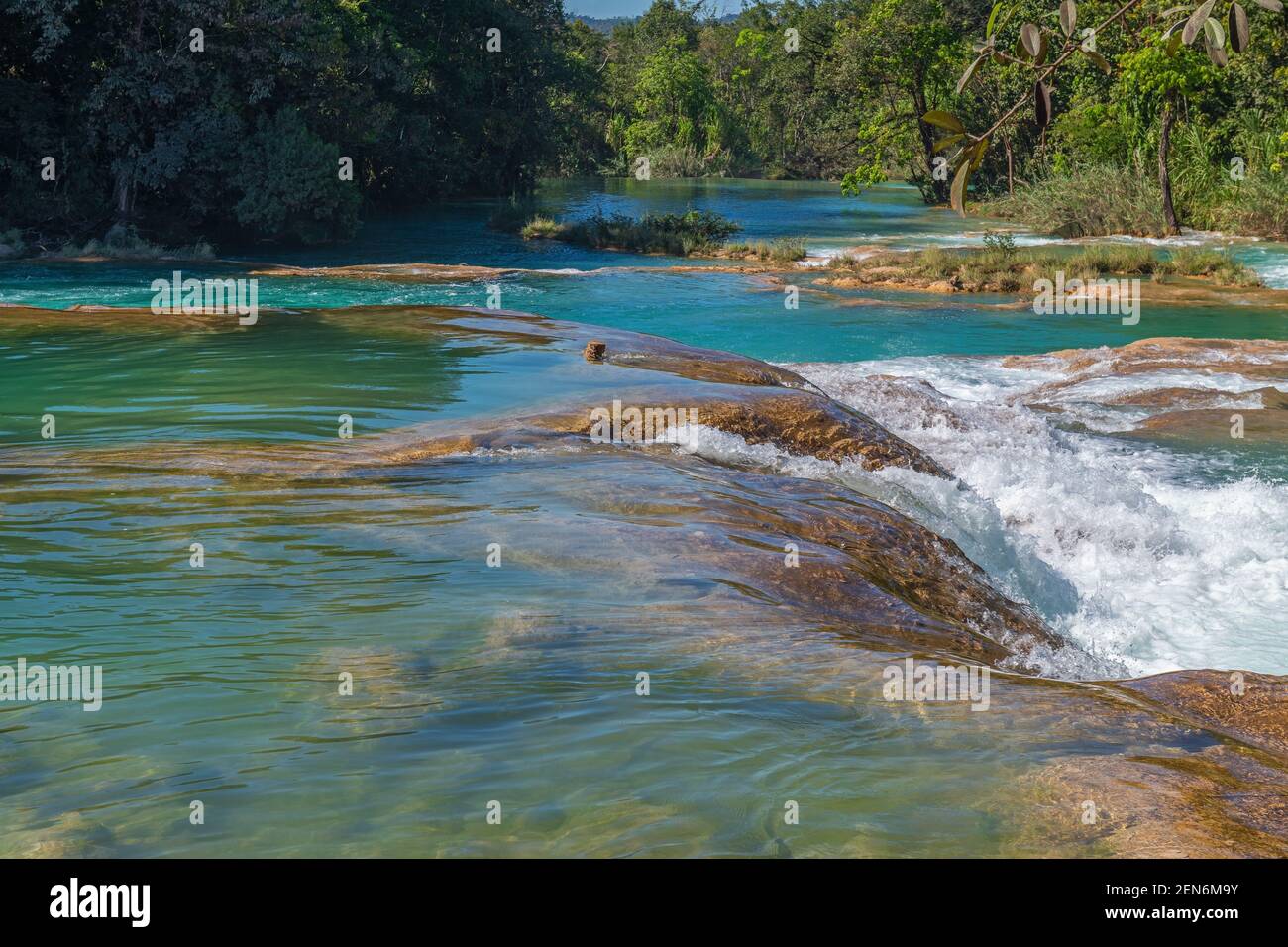 Üppiger tropischer Regenwald an den Kaskaden von Agua Azul, Chiapas, Mexiko. Stockfoto