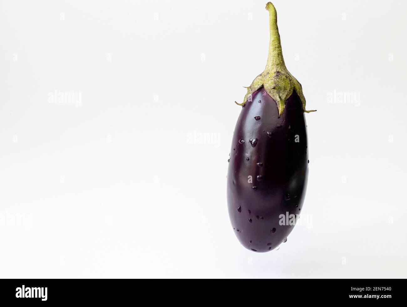 Eine einzelne violette Aubergine Gemüse oder Brinjal auf weißem Hintergrund Stockfoto
