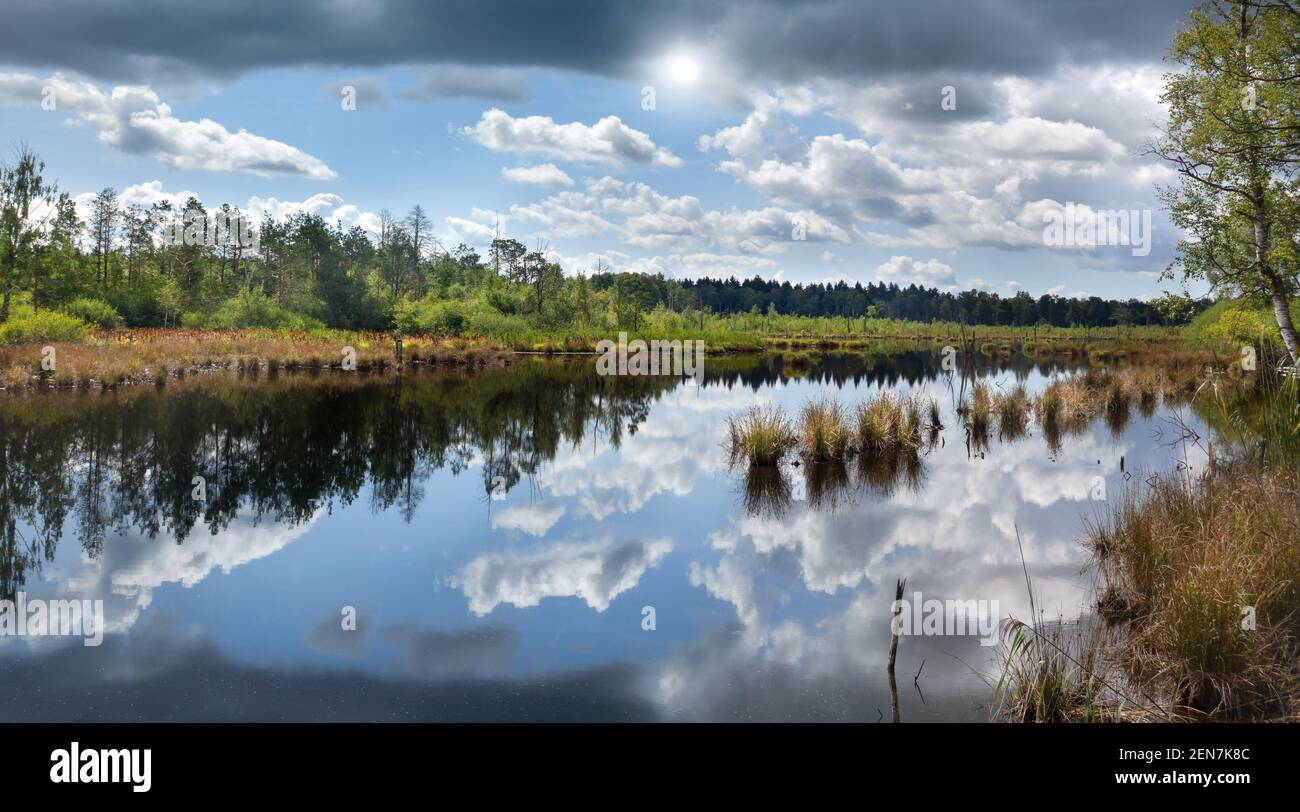Malerischer See in einer Moorlandschaft - Schwenninger Moos, Deutschland Stockfoto