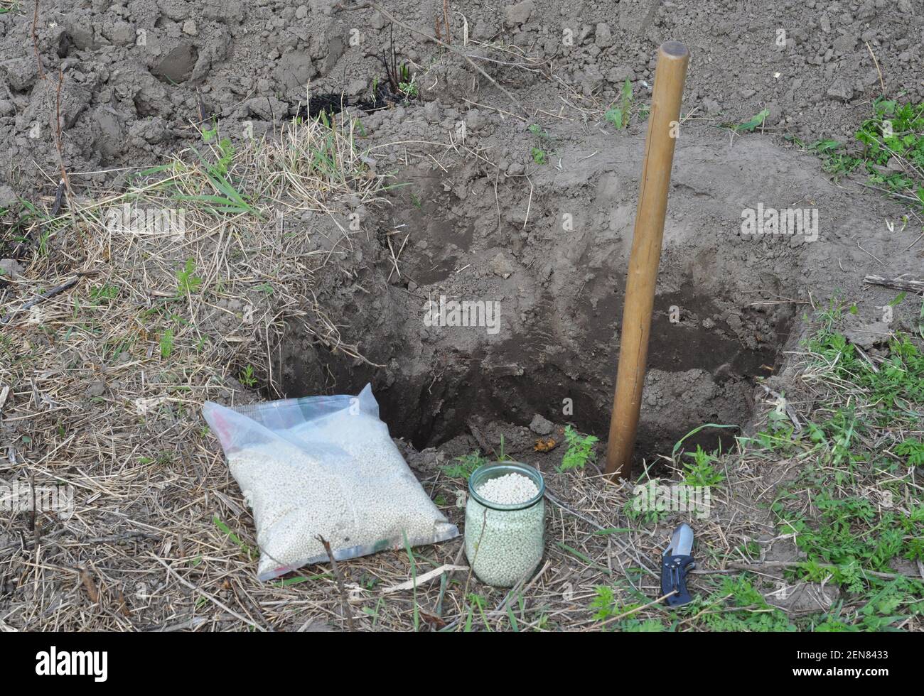 Im Frühjahr einen Baum zu Pflanzen, indem man ein tiefes und breites Loch ausgräbt, die Wurzeln des Baumes ausschont und mineralische Düngemittel für den Boden vorbereitet. Stockfoto