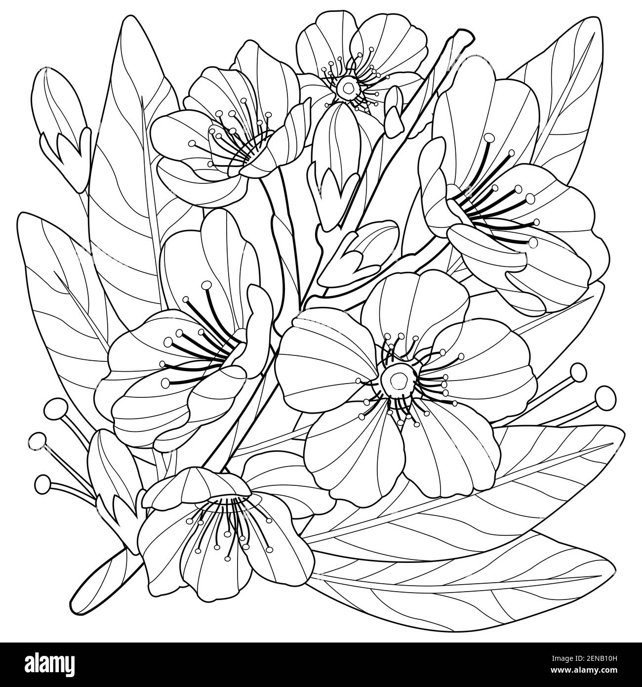 Mandelbaumzweig mit Mandelblüten. Zweig mit Frühlingsblumen. Obstbaumzweig. Schwarzweiß-Ausmalseite. Stockfoto