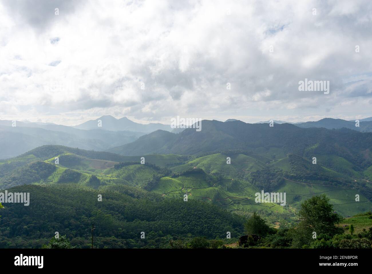 Schöne Aussicht auf Munnar Hügel an einem nebligen Tag im Idukki Bezirk des südwestlichen indischen Staates Kerala, indien Stockfoto