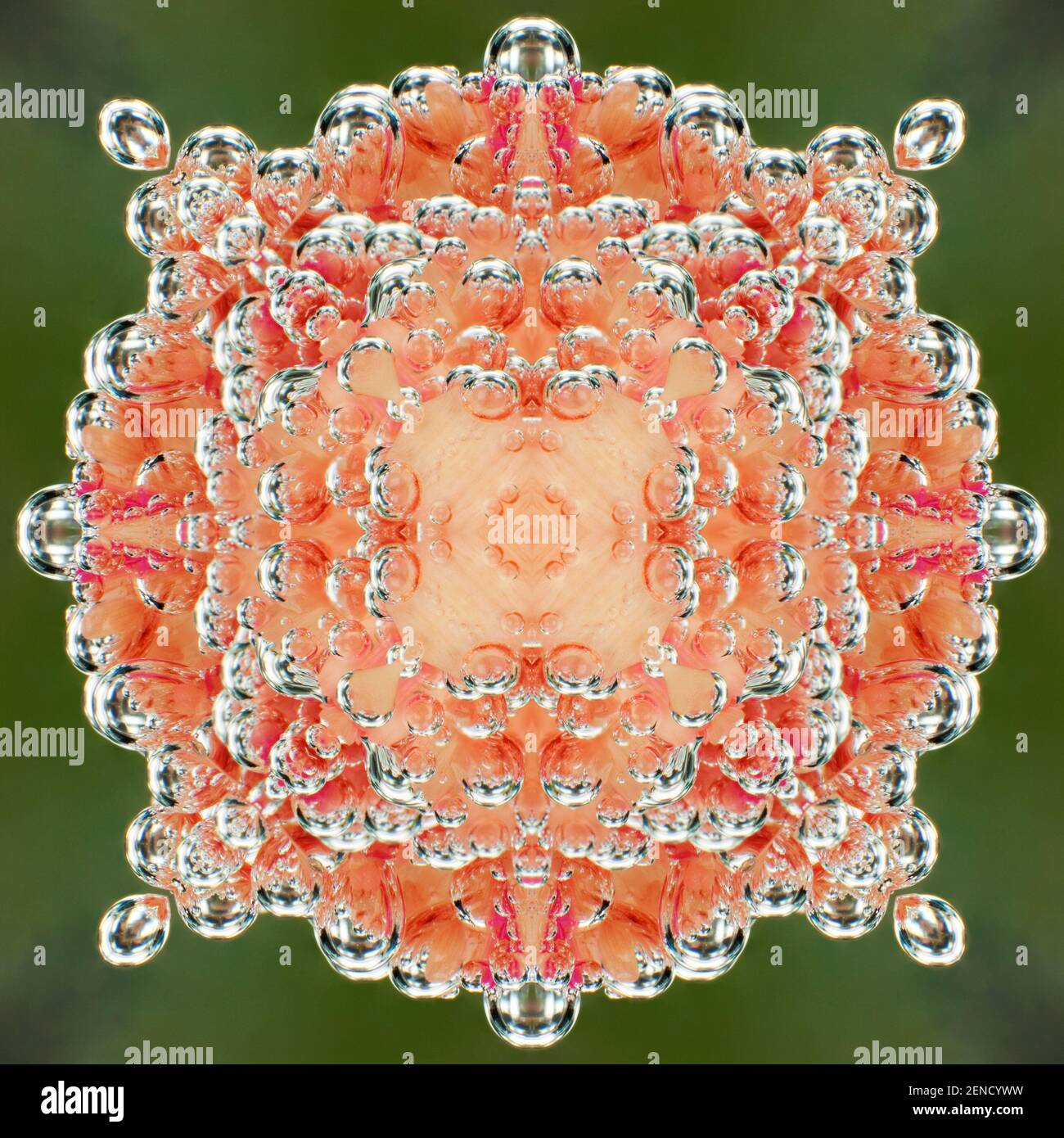 Kaleidoskop von Blasen auf Nelkenblüten unter Wasser Stockfoto