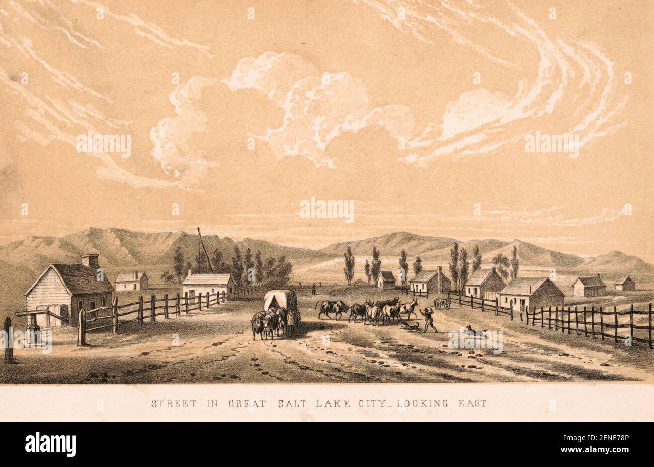 Straße in Great Salt Lake City - Blick nach Osten - Drucken zeigt einen breiten Feldweg, beidseitig eingezäunt, mit ein paar kleinen Gebäuden hinter den Zäunen; Zeigt auch einen Planwagen, der sich dem Betrachter nähert, und einen Mann mit zwei Hunden, die in der Nähe der Straßenmitte Rinder hüten, 1851 Stockfoto