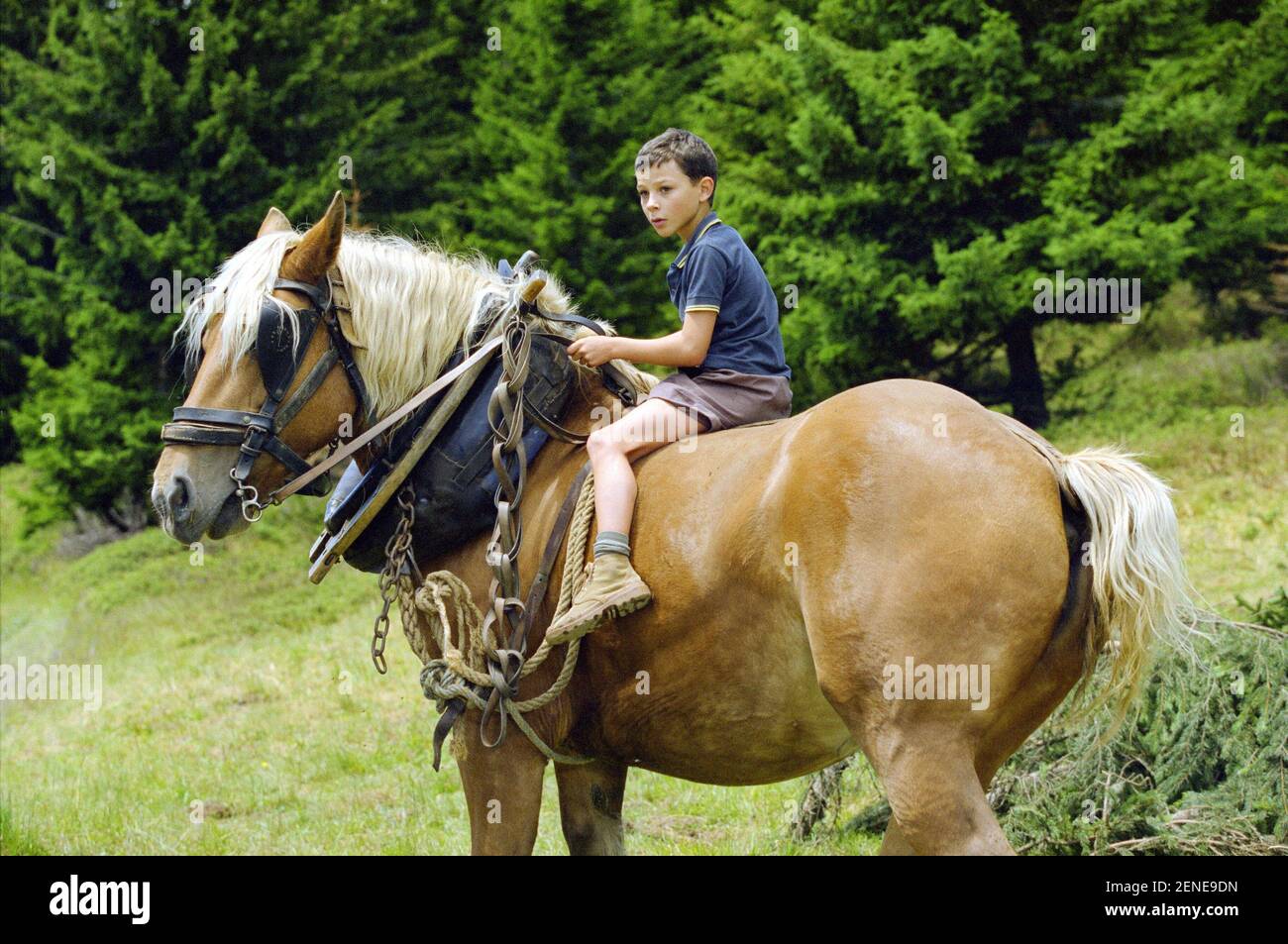 Malabar Prinzessin Jahr : 2004 - Frankreich Jules-Angelo Bigarnet Regie :Gilles Legrand Stockfoto