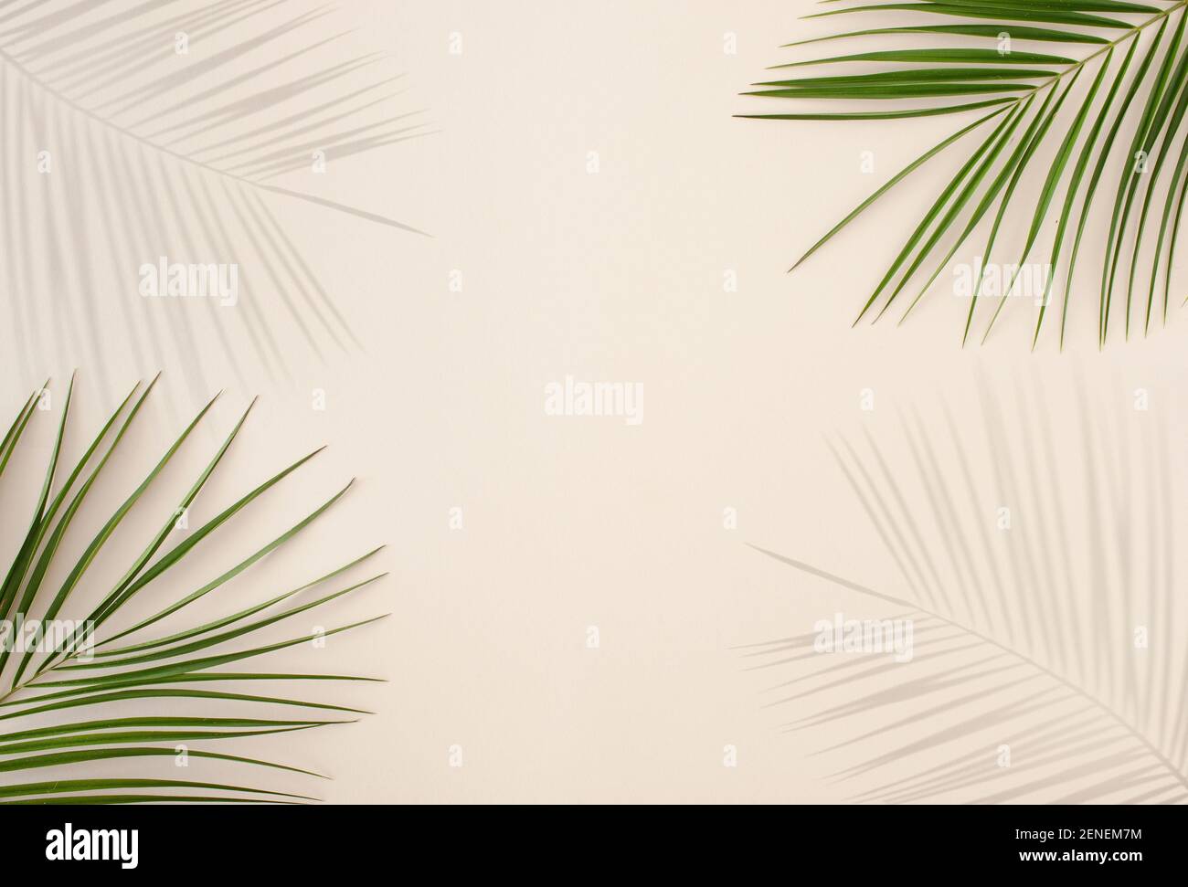 Tropische Palmenblätter und Schatten auf pastellfarbenem beigefarbenem Hintergrund. Minimales Sommerkonzept mit Palmenblättern und Sonnenlichtschatten. Stockfoto