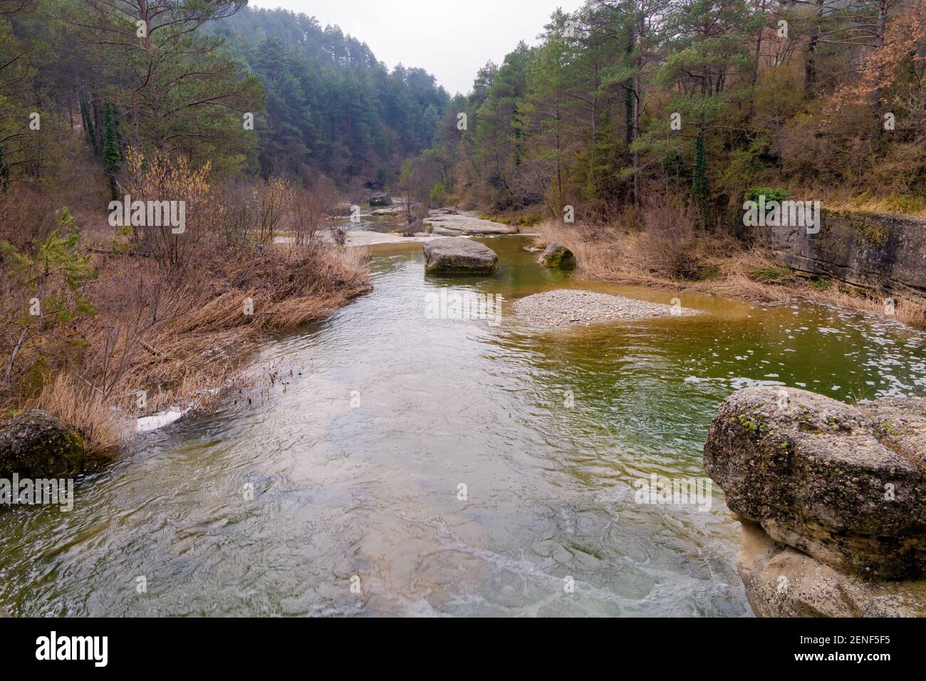Blick auf den Fluss Merles im Winter durch einen Wald von Eichen und weißen und roten Kiefern. Sta. Maria de Merles, Katalonien, Spanien Stockfoto