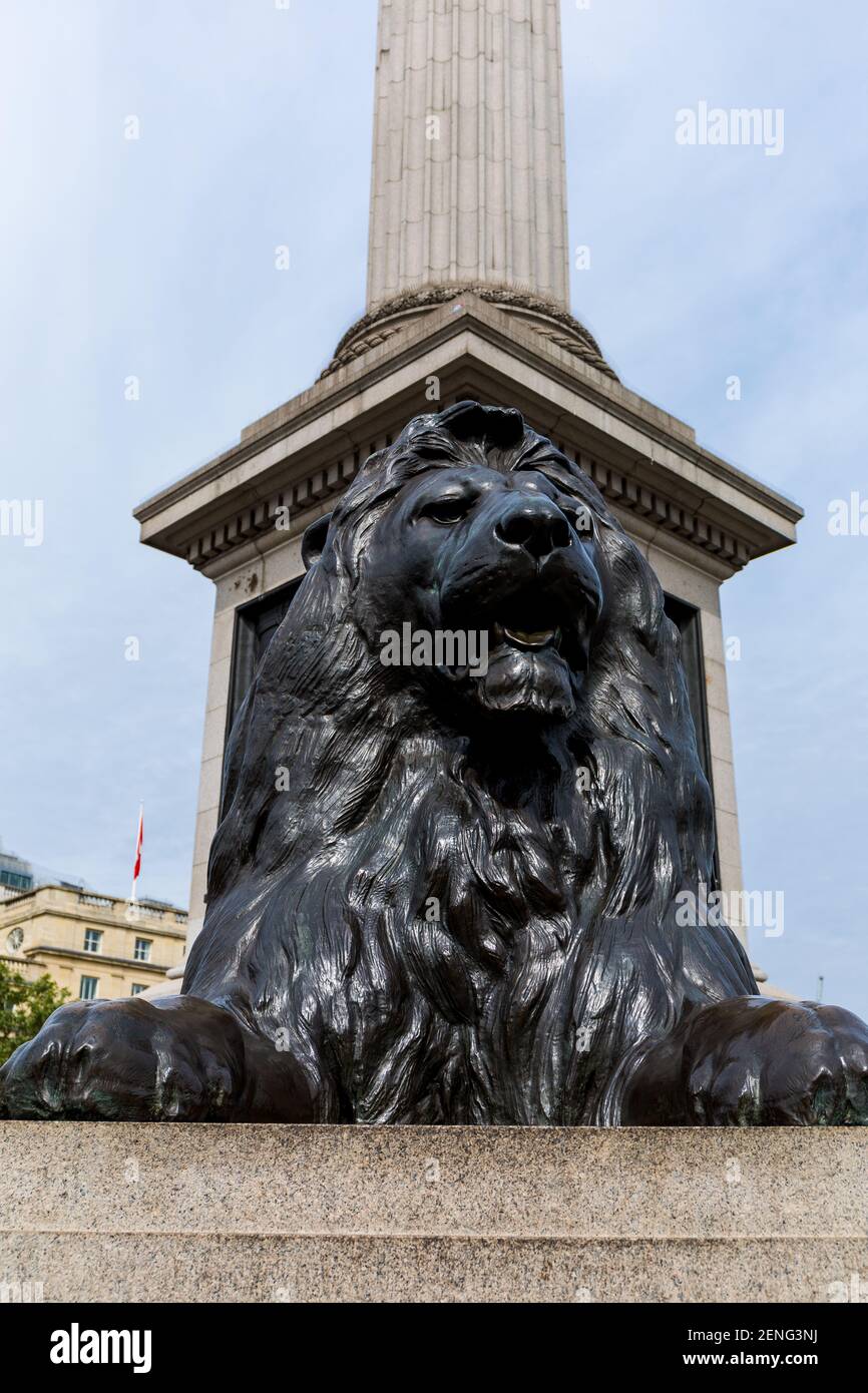 Löwe aus Bronze-Statue von Sir Edwin Landseer, Trafalgar Square, London, England, Vereinigtes Königreich, Europa Stockfoto