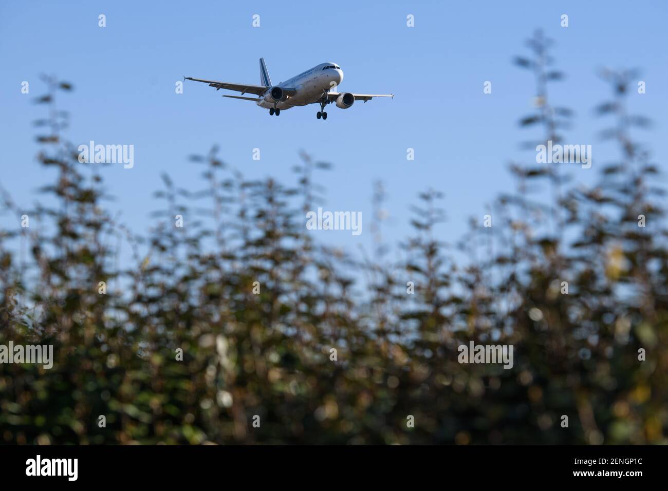 London, Großbritannien. 26. Februar 2021. Flugzeuge am Flughafen Heathrow im Westen Londons. IAG, Eigentümer von British Airways, hat die Einführung digitaler Gesundheitsausweise gefordert, da die Luftfahrtindustrie weiterhin unter der Coronavirus-Pandemie leidet. Bilddatum: Freitag, 26. Februar 2021. Bildnachweis sollte lauten: Matt Crossick/Empics/Alamy Live News Stockfoto