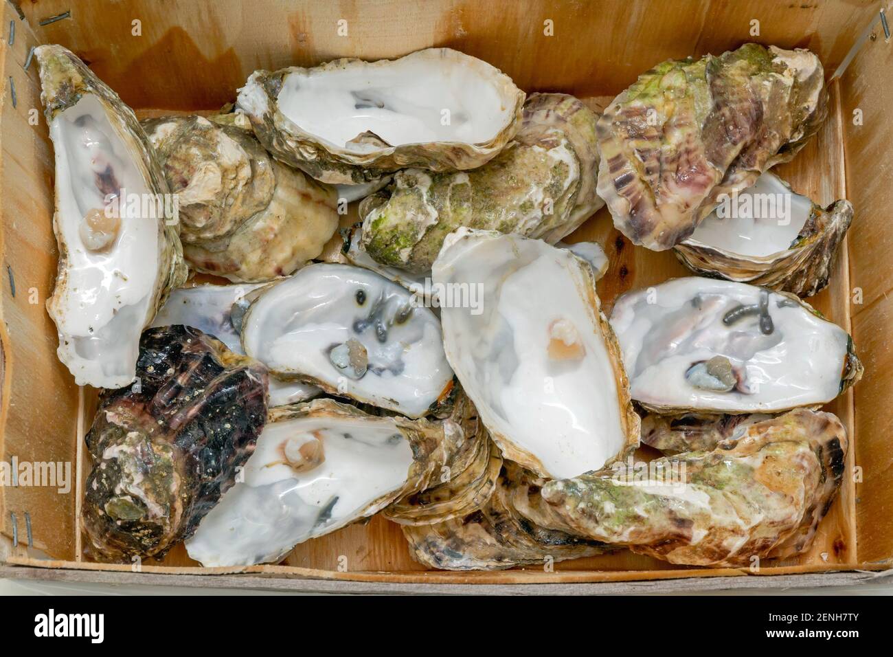 Ausrangierte Austernschalen in Holzkistenabfällen Stockfoto
