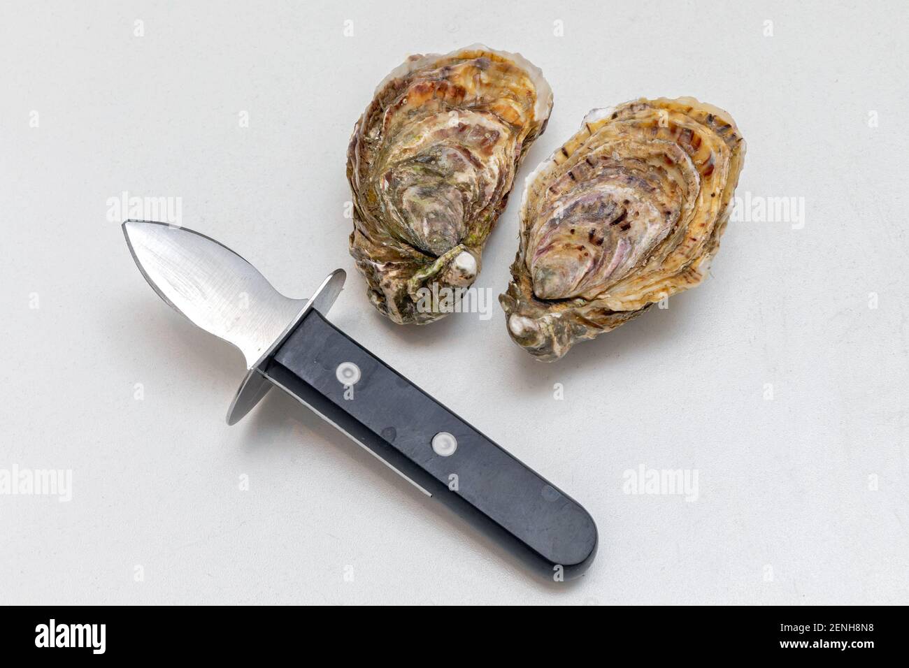 Shucker Messer Austern Shell Opening Tool Meeresfrüchte Stockfoto