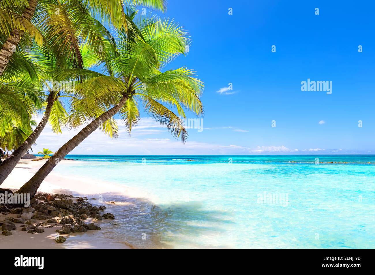 Kokospalmen am weißen Sandstrand in Punta Cana, Dominikanische Republik. Urlaub Urlaub Urlaub Hintergrund Wallpaper. Blick auf den schönen tropischen Strand. Stockfoto