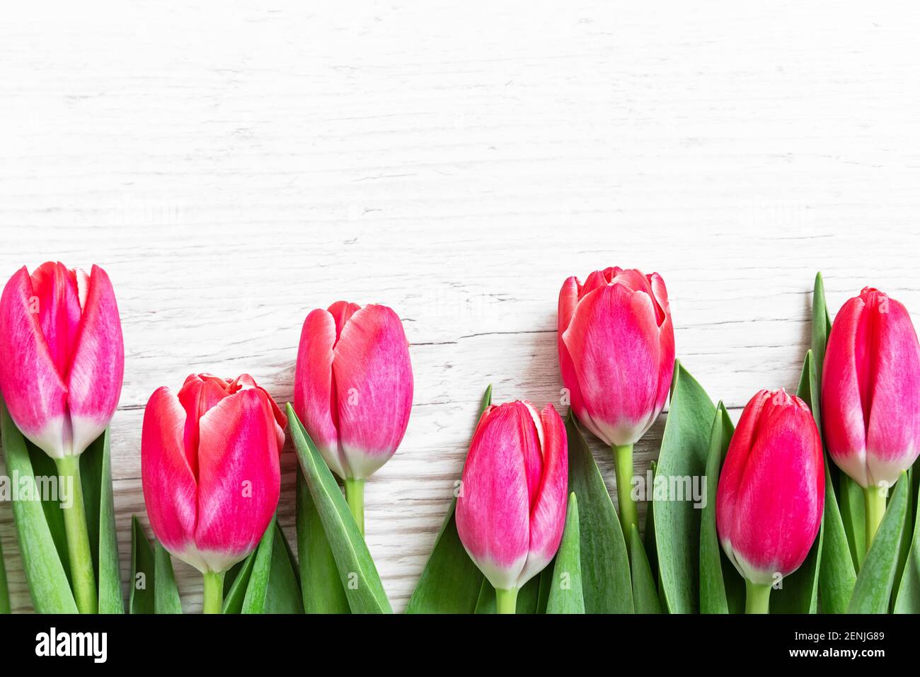 Schöne rosa Tulpen auf Holzhintergrund. Grußkarte mit Tulpen für Muttertag oder Ostern. Federkonzept. Stockfoto