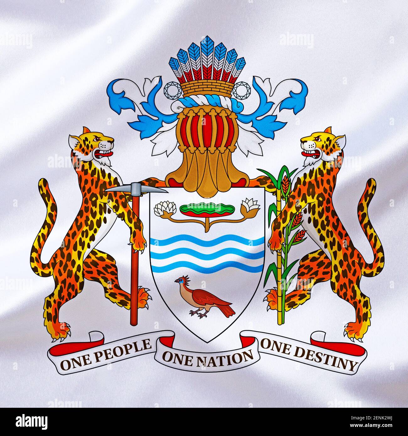 Das Wappen von Guyana Stockfoto