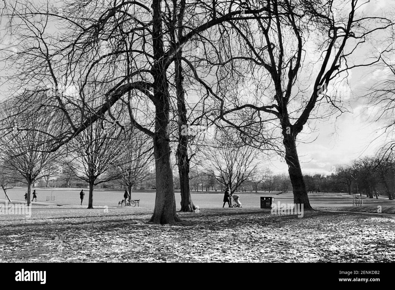 Clisssold Park, North London UK, im Winter 2021, mit Fußgängern Stockfoto