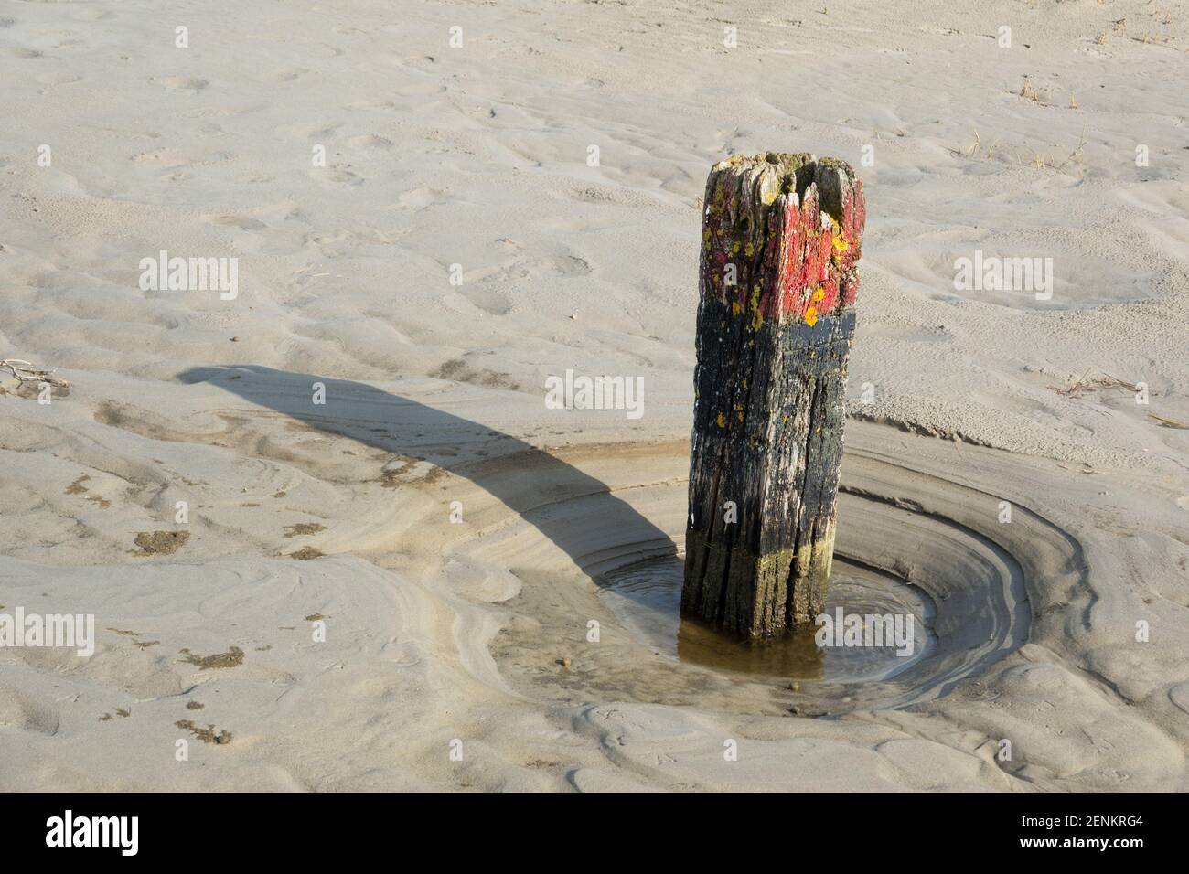 Verwitterter Strandmast mit rotem Kopf in einem Loch Am Strand vom Wasser abgewohnt Stockfoto