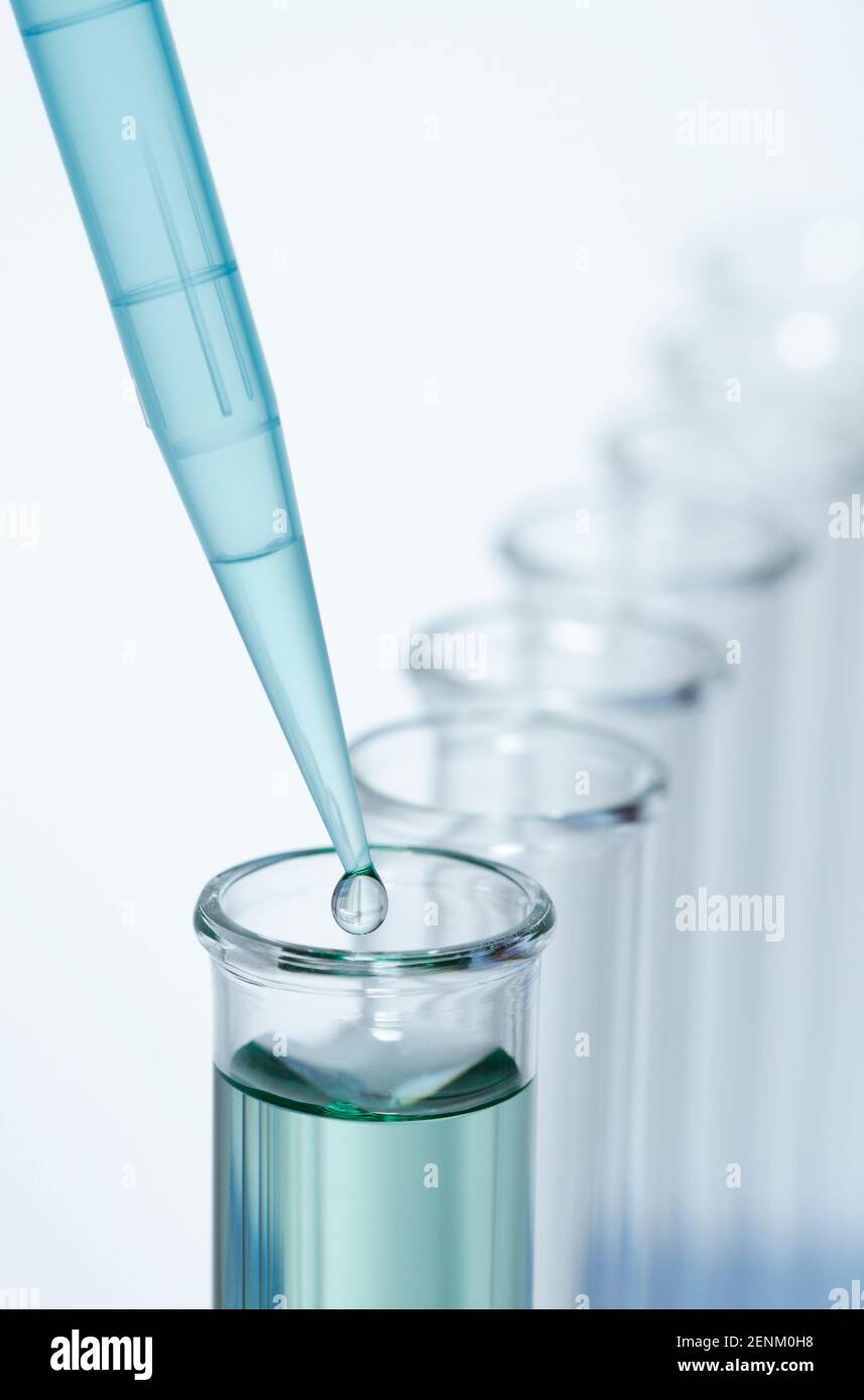 Pipettieren. Eine Präzisions-Mikropipette wird verwendet, um Stockfoto