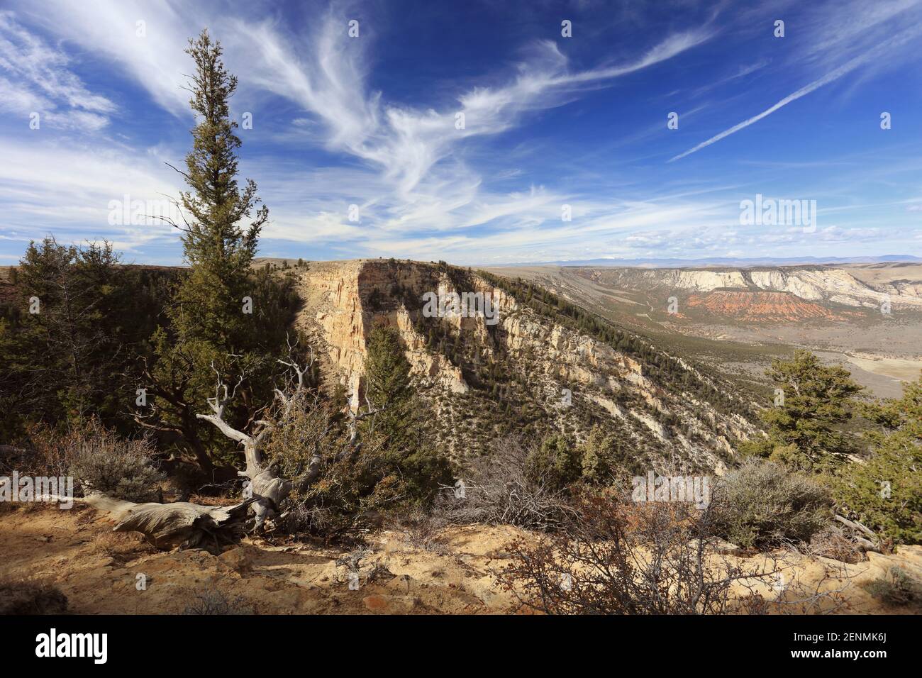 Dinosaur National Monument feiert Flüsse, Schluchten und Fossilien. Stockfoto