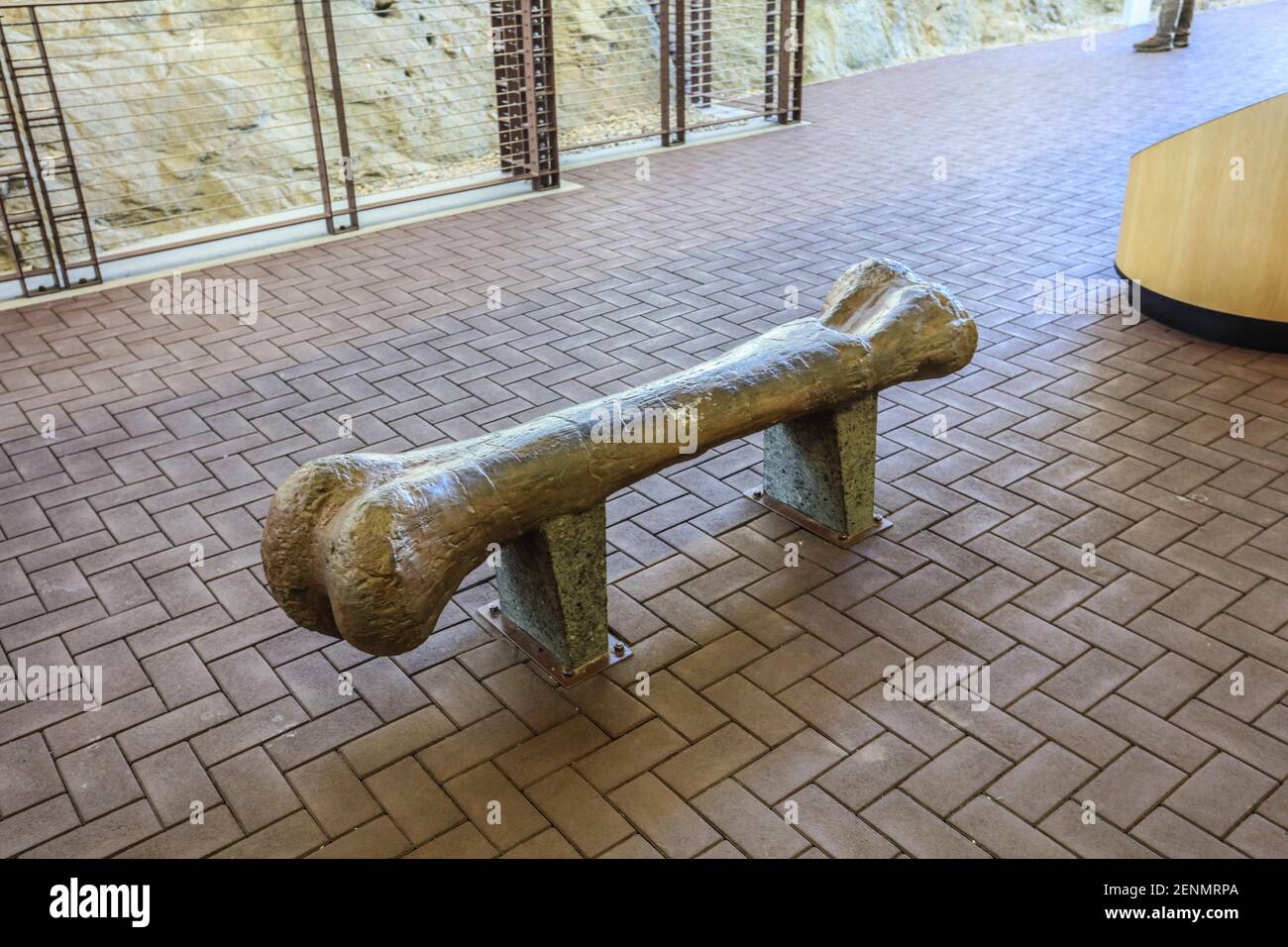 Dinosaur National Monument feiert Flüsse, Schluchten und Fossilien. Stockfoto