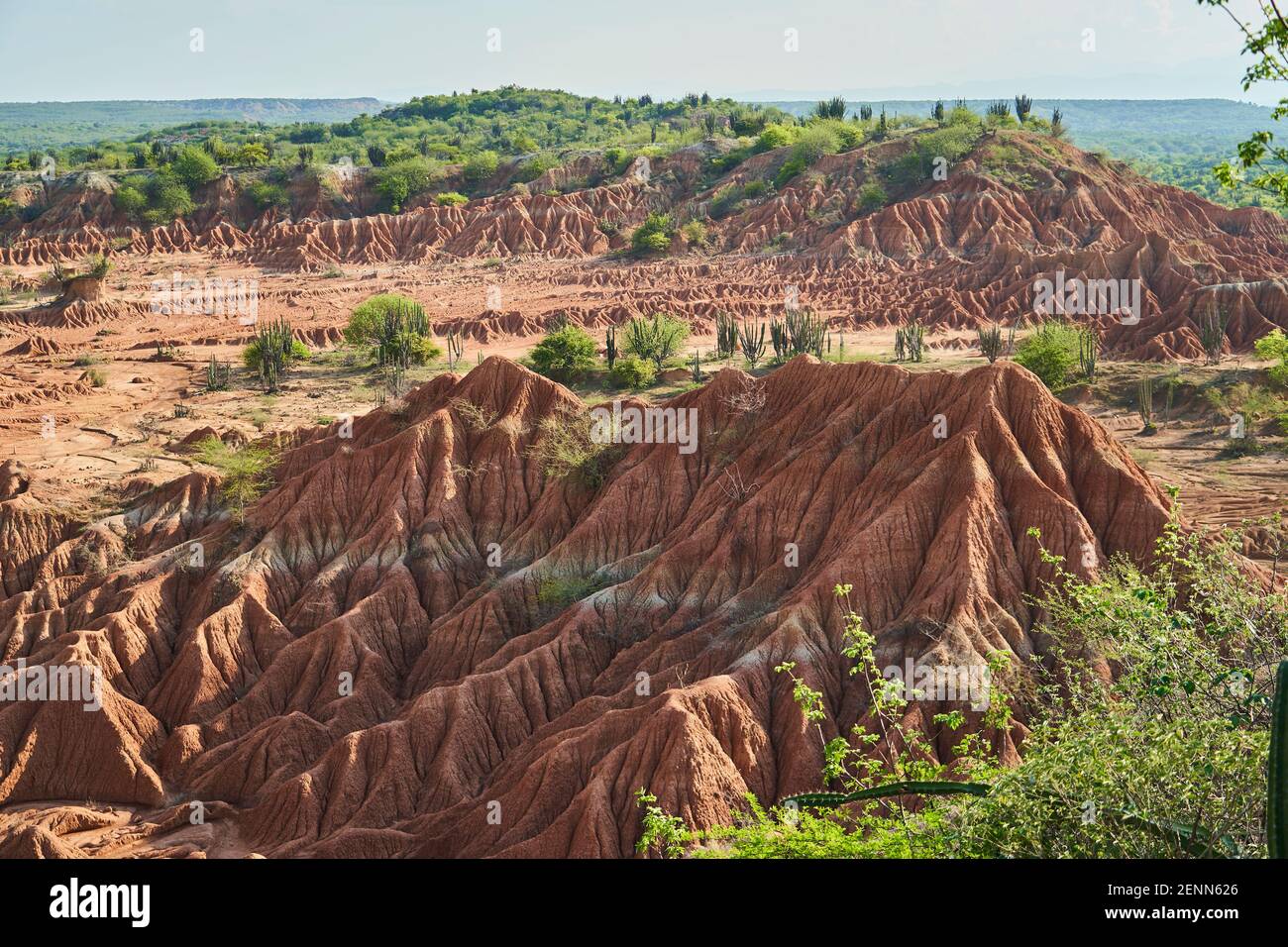 Trockene und trockene Landschaft der Tatacoa Wüste in Kolumbien, zeigt eine Menge Erosion der schönen roten Sanddünen Stockfoto