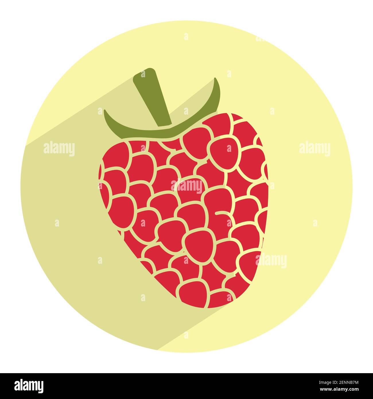 Rote Himbeer-Frucht auf runder grünem Hintergrund Stock Vektor