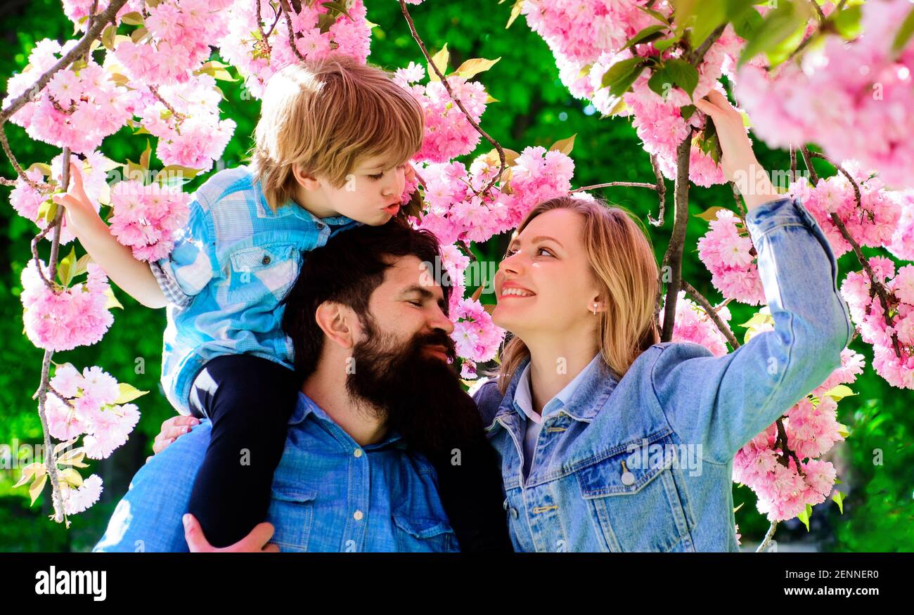Glückliche Familie im Frühlingsgarten. Mutter, Vater und Sohn im blühenden Sakura Park. Stockfoto