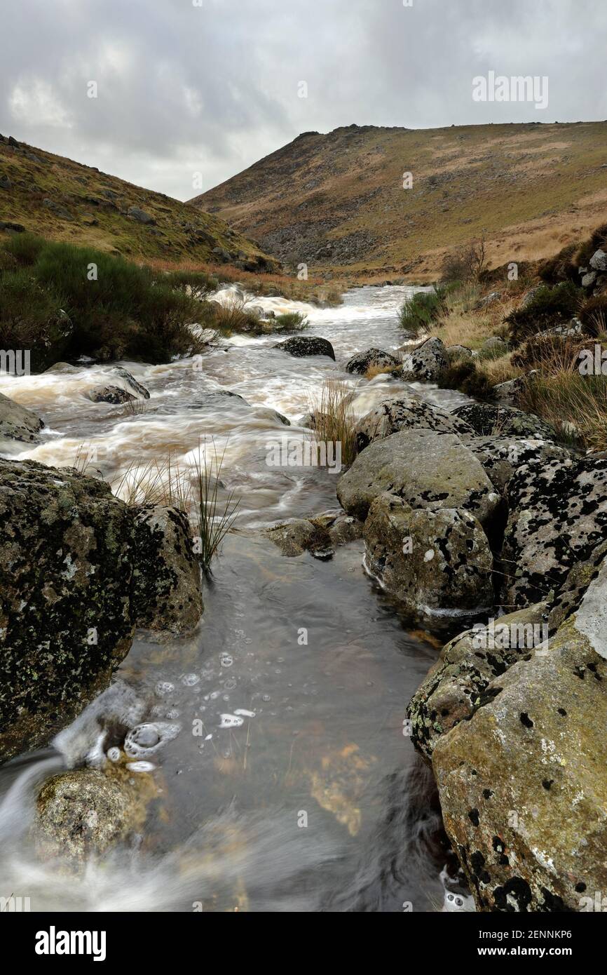 Der Fluss Tavy in Tavy Cleave, Dartmoor, fließt schnell durch Felsbrocken. Stockfoto