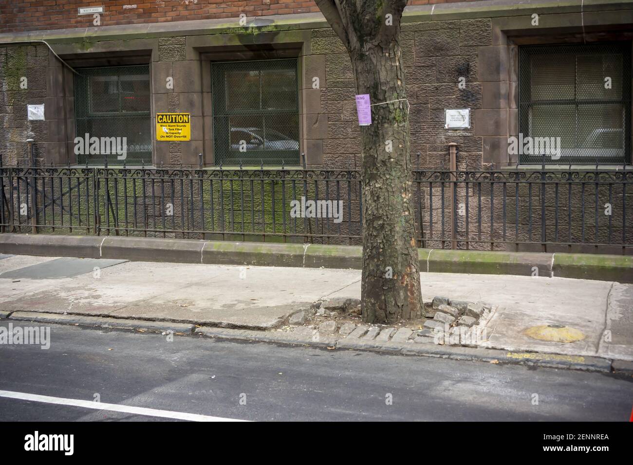 Baumgruben im New Yorker Stadtteil Chelsea am Dienstag, den 10. September 2019. Der Bürgermeister von New York, Bill De Blasio, gab heute bekannt, dass die Stadt nun die Verantwortung für Reparaturen übernehmen wird, wenn ein Straßenbaum den umliegenden Bürgersteig beschädigt. Zuvor wurden Hausbesitzer und Vermieter bestraft, wenn einer der cityâ €™s treesâ €™ Wurzeln verursacht Schäden und der Hausbesitzer hatte zu tragen, die Kosten für Reparaturen. (ÂPhoto von Richard B. Levine) Stockfoto