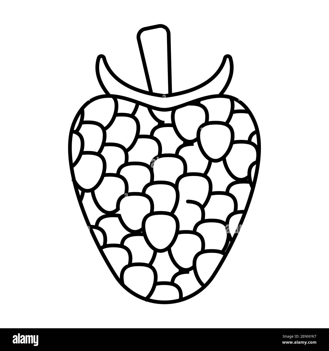 Linie Kunst Vektor-Symbol Himbeere Frucht für Apps und Websites Stock Vektor