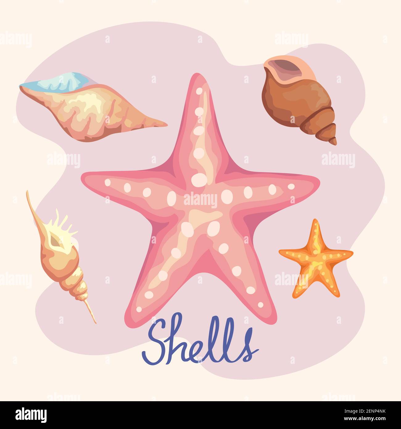 Fünf Muschelfarben setzen Symbole und Schriftzüge Stock Vektor