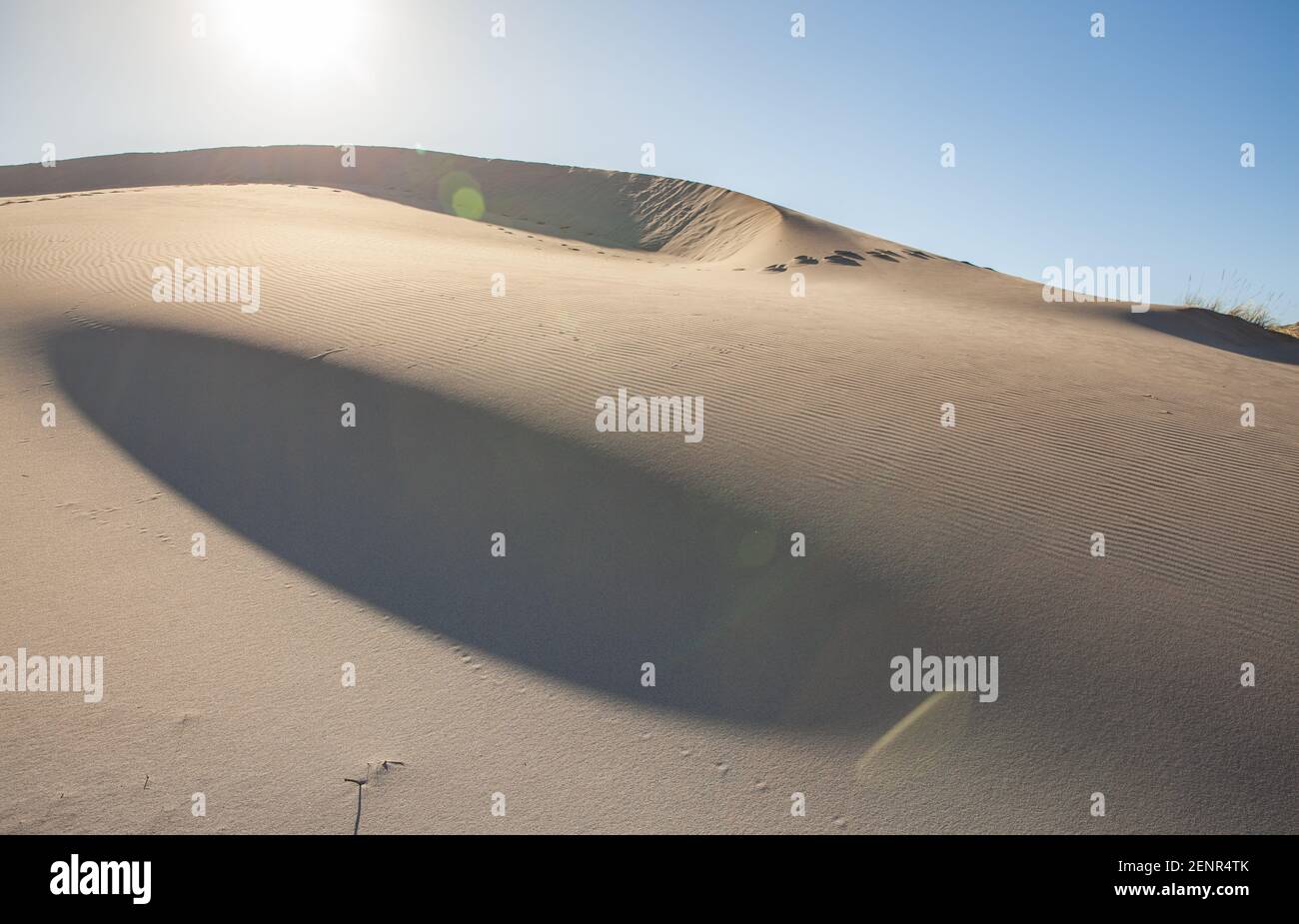 Sanddüne in der Bucht von Monsul in Cabo de Gata Naturpark Andalusien Spanien Travel Europe Stockfoto