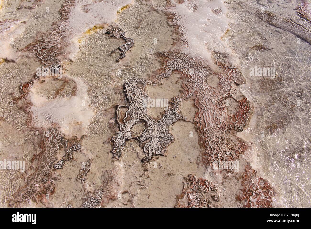Kalkstein Textur mit Wasser. Ein altes Fossil. Seeufer. Pamukkale, Türkei. Natürlicher Hintergrund Stockfoto