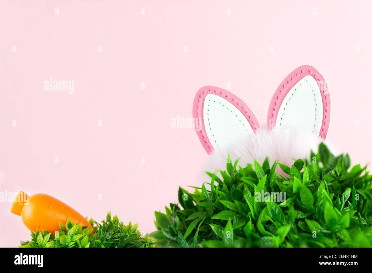 Ohren eines Osterhasen und Karotte über dem Gras Auf rosa Hintergrund Stockfoto