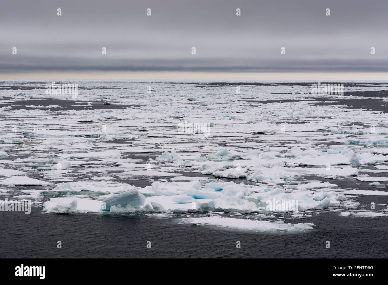 Polar Ice Cap, 81north von Spitzbergen, Norwegen. Stockfoto