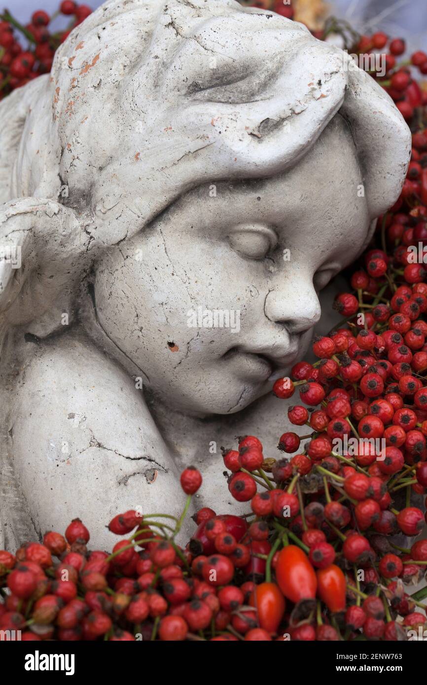 Figur eines schlafenden Mädchens in roten Herbstbeeren Stockfoto