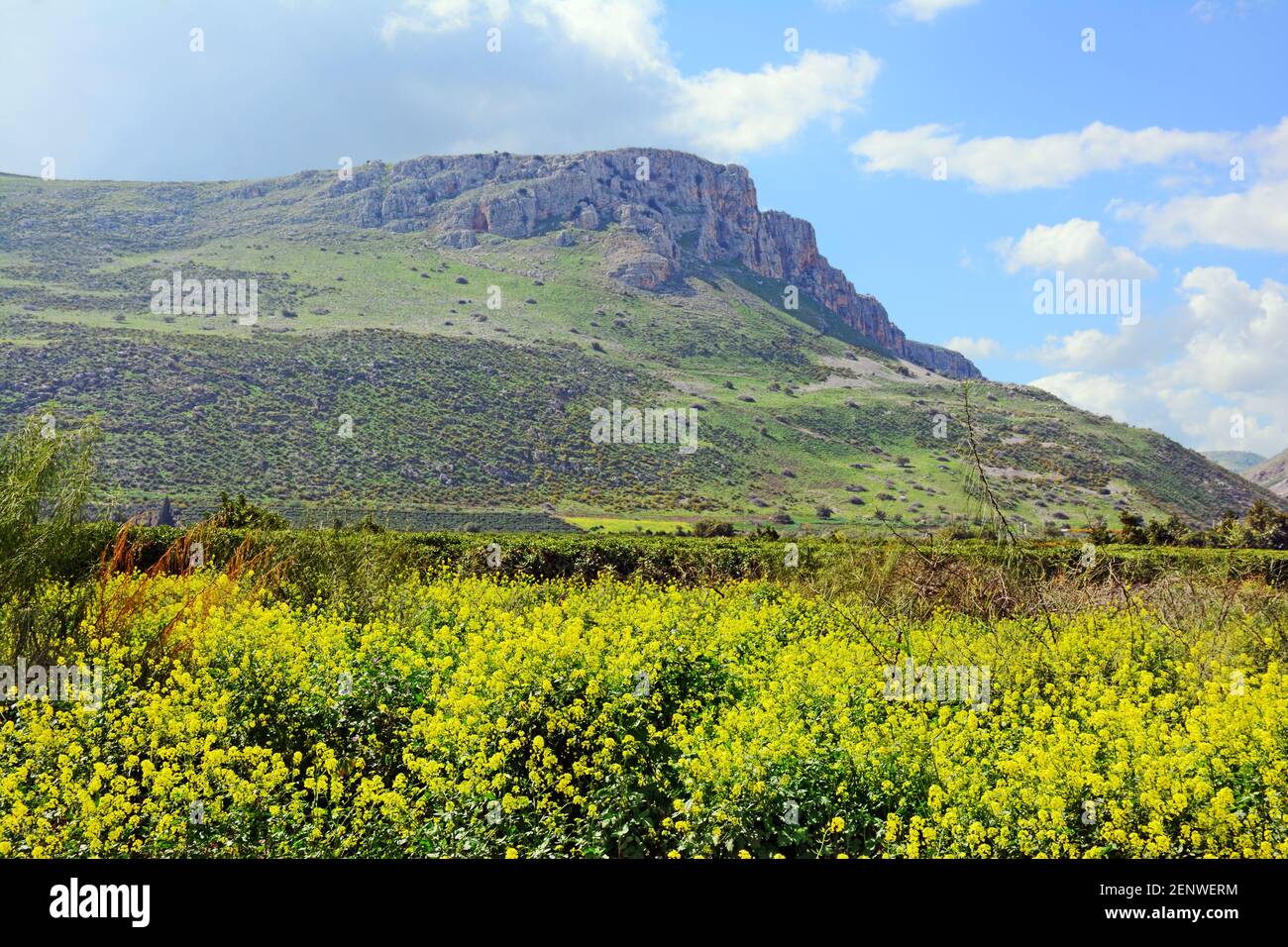 Berg Arbel, Galiläa, Israel Stockfoto