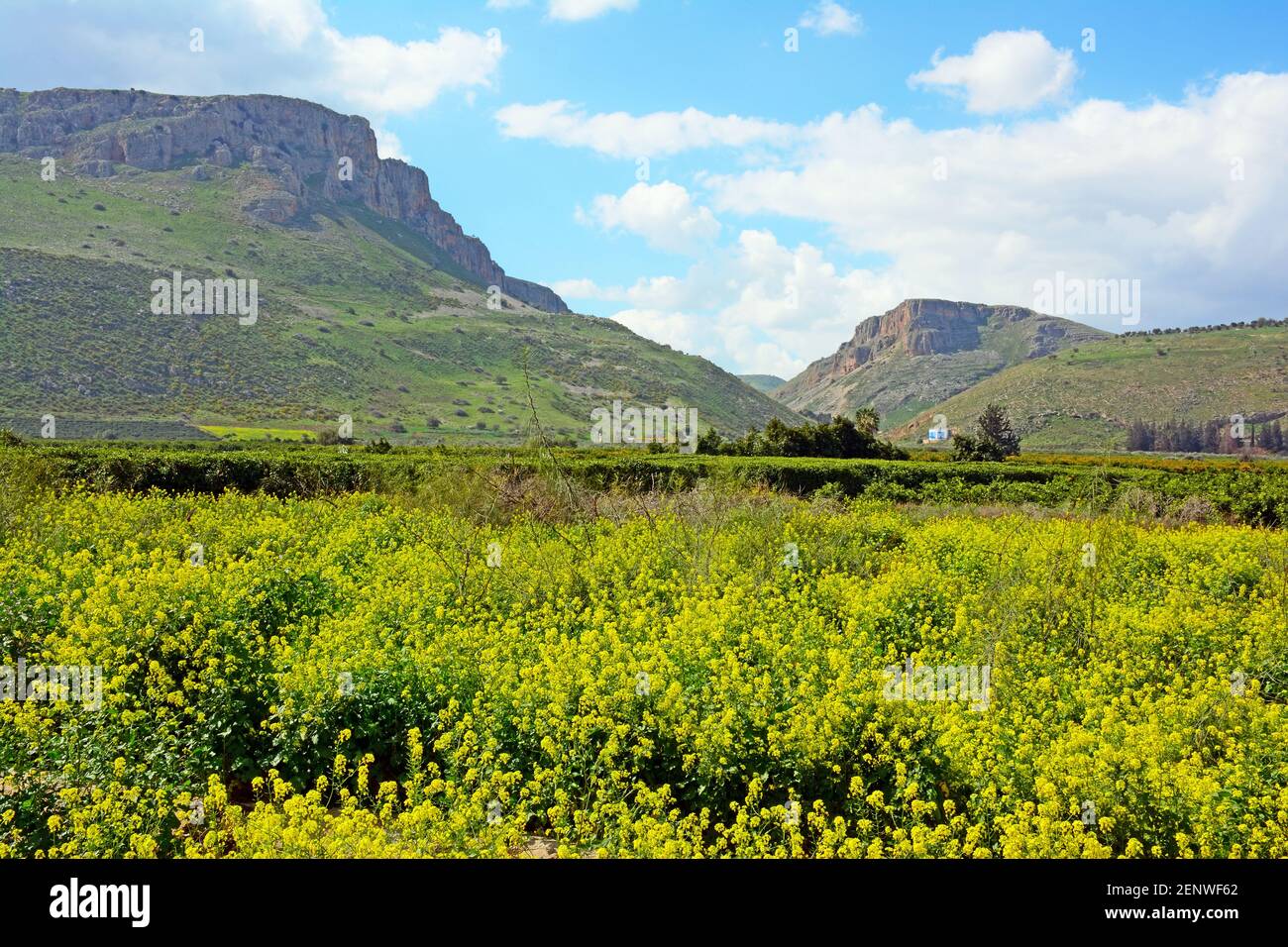 Berg Arbel, Galiläa, Israel Stockfoto