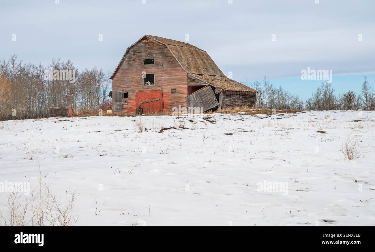 Alte verlassene Scheune auf der Canadian Prairies in der Nähe von Delburne, Alberta Stockfoto