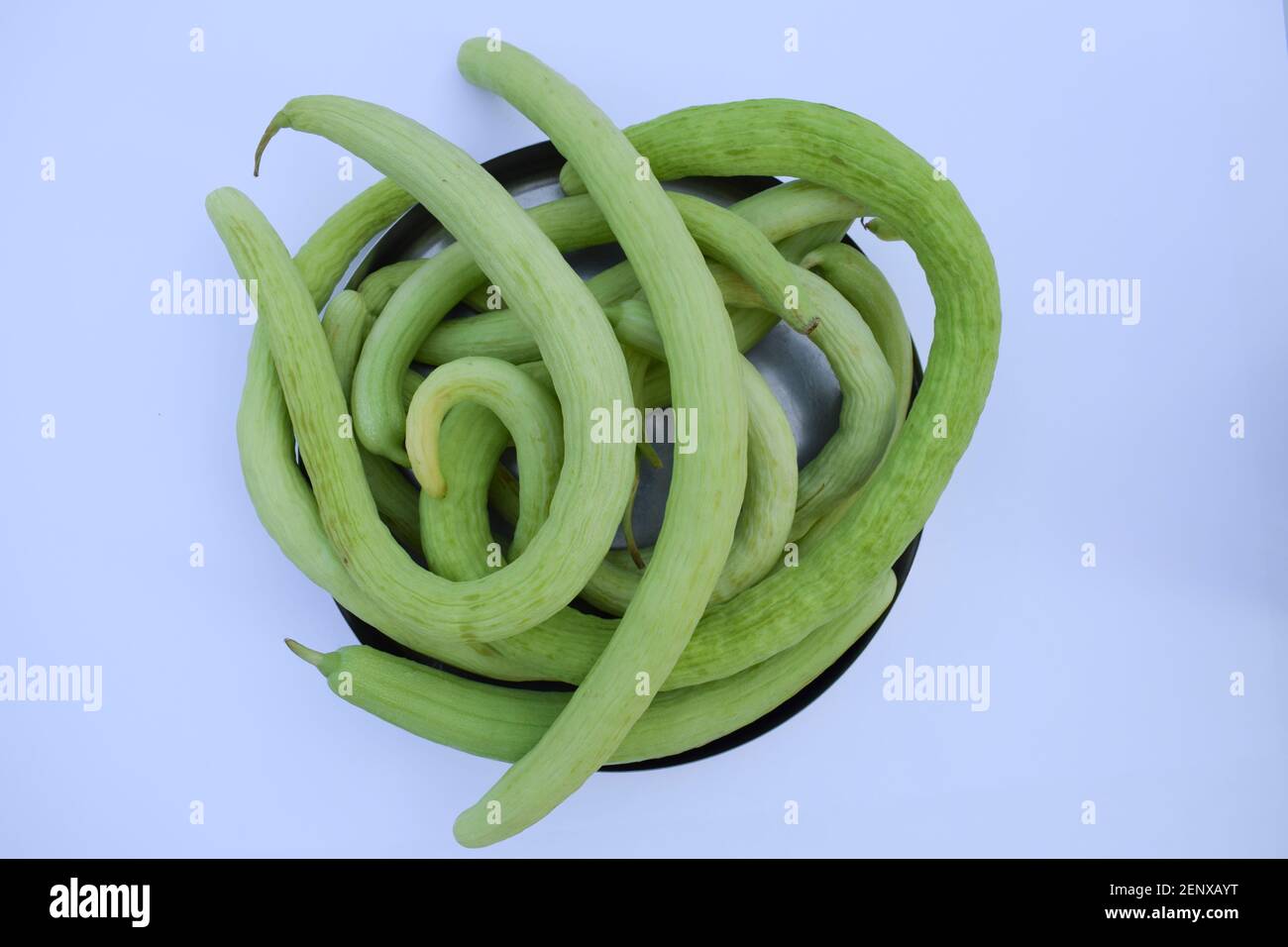 Yard-long Schlange Gurken Haufen, sehr lange dünne kurvige hellgrüne Gurke Bündel auf weißem Hintergrund. Stockfoto