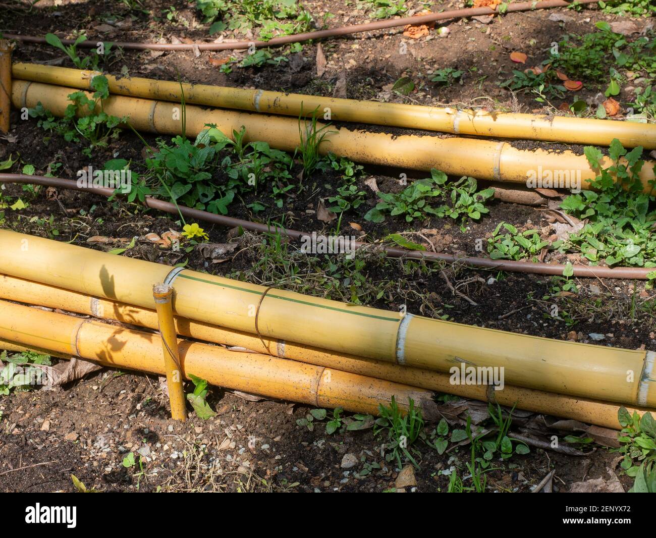 Prevents Soil Erosion Stockfotos Und Bilder Kaufen Alamy