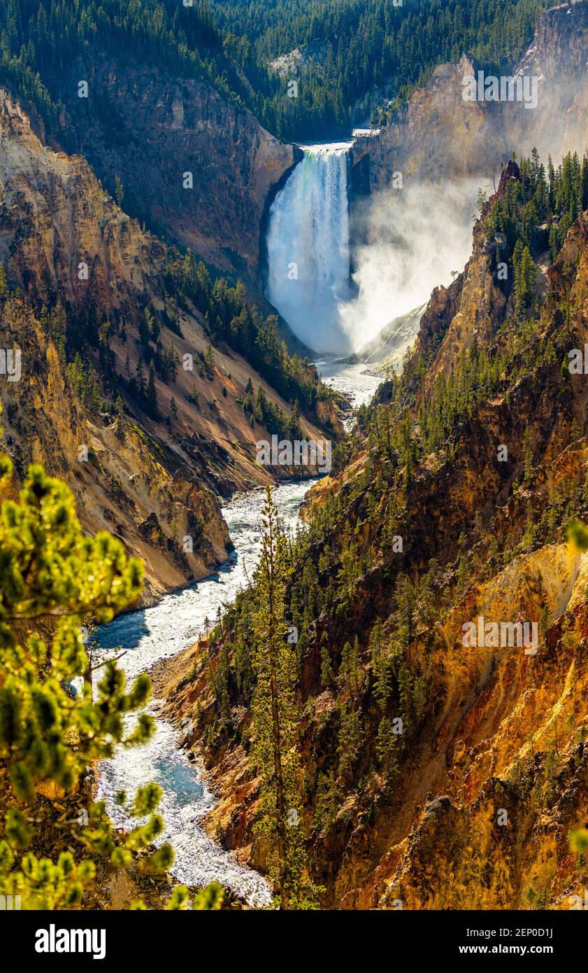 Lower Falls am Grand Canyon des Yellowstone Stockfoto