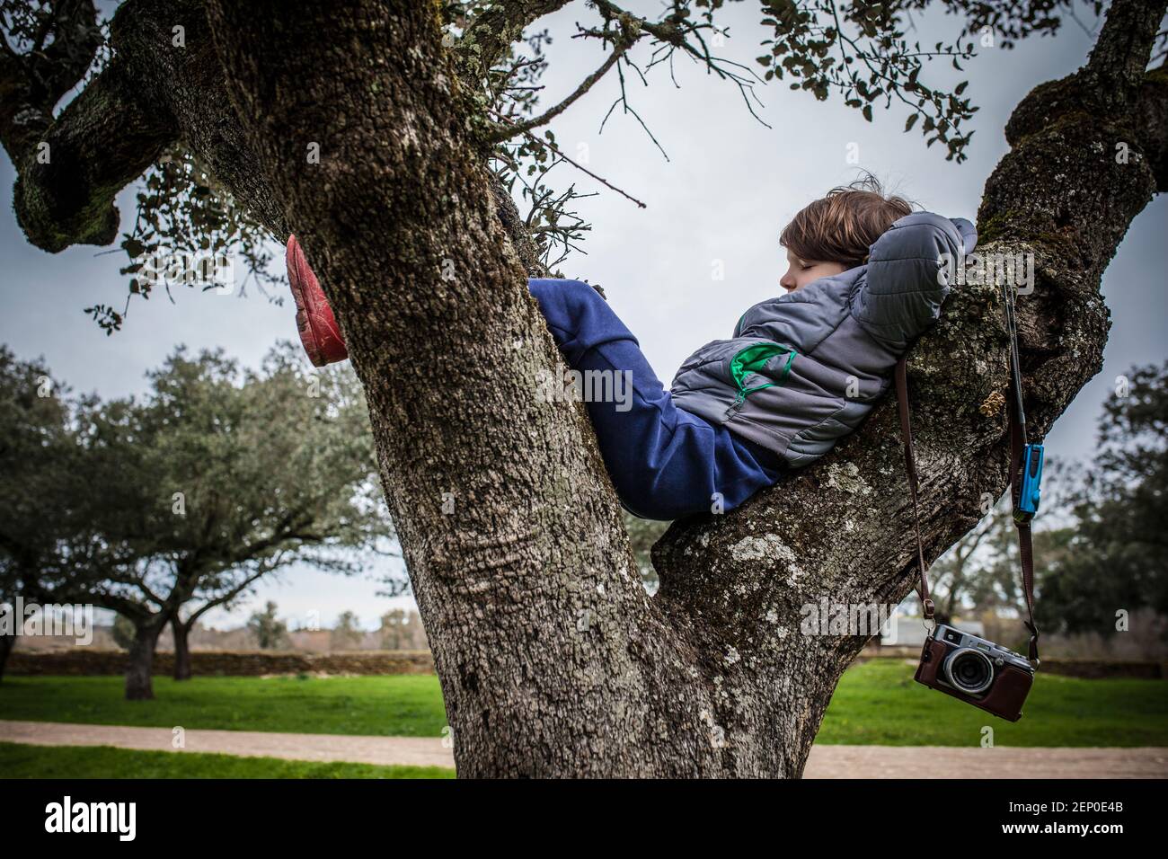 Kind Junge ruht über Baum nach dem Fotografieren in der Natur. Kinder entdecken die Natur durch die Fotografie Stockfoto