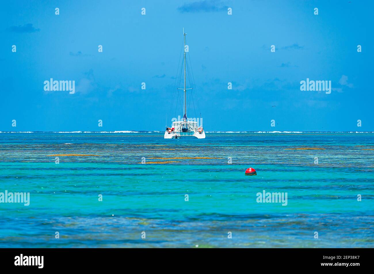 Katamaran-Segelboot über dem Korallenriff und seinem türkisfarbenen Wasser in der Nähe von Lady Musgrave Island, Southern Great Barrier Reef, Bundaberg, Queens verankert Stockfoto