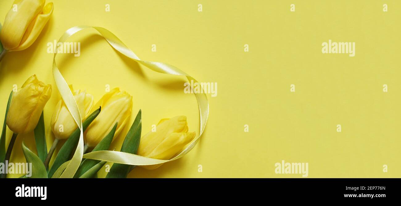 Fünf gelbe frische Tulpen auf gelbem Hintergrund mit gelbem Hintergrund Herz aus Band Stockfoto