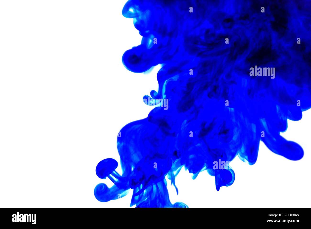 Blaue Tinte im Wasser auf weißem Hintergrund. Blaue abstrakte Farbe auf weißem Hintergrund.Farbtropfen wirbeln. Stockfoto